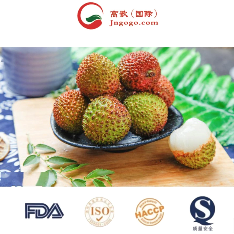 Seller Good Quality Lychee Fruit at Cheap Price