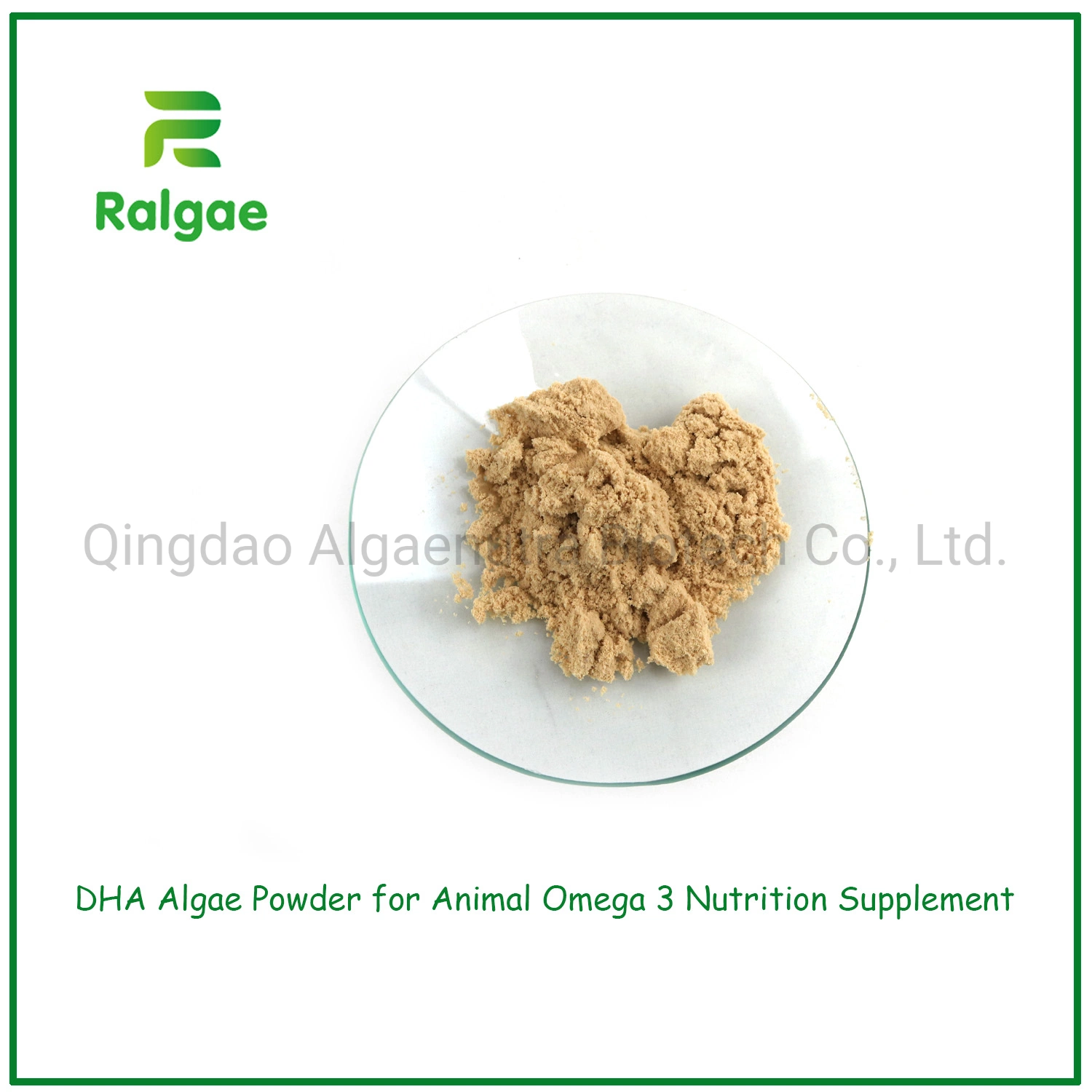 18% DHA Schizochytrium Algae Powder Feed DHA for Poultry Egg DHA Supplements CAS6217-54-5