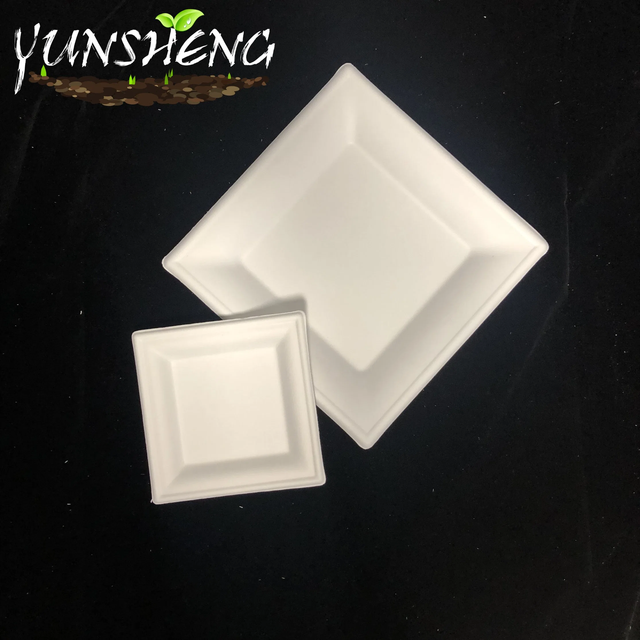 Bagasse Compostable Durable Paper Square Plate for Fruit