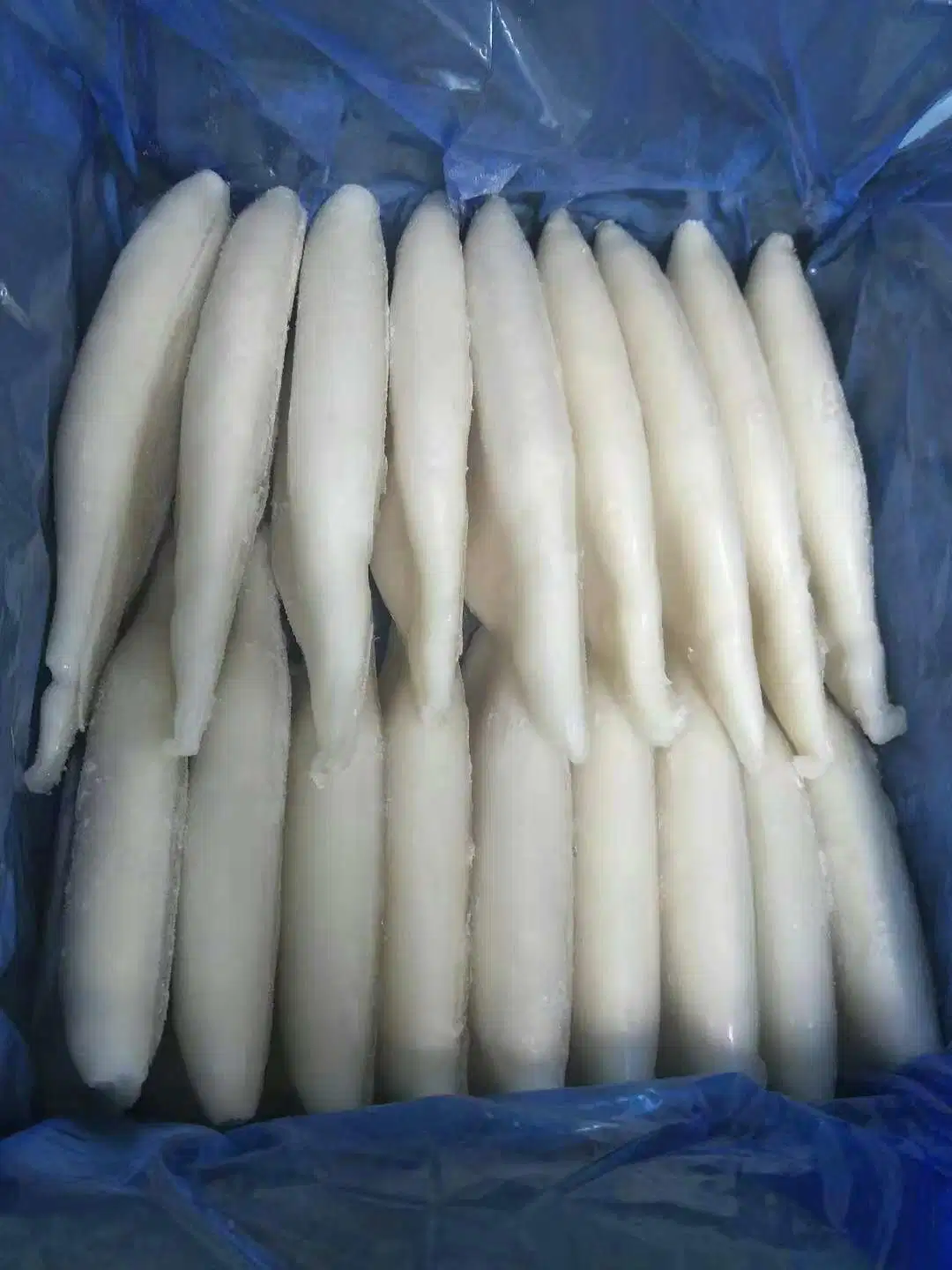 Factory Price High Quality Frozen Squid Tube U5 U7 U10