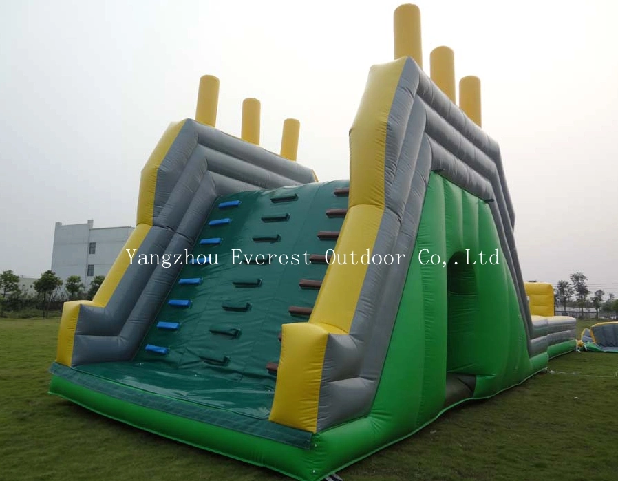 Awesome Inflatable Jumping Castle for 2014 New Year (IN005)