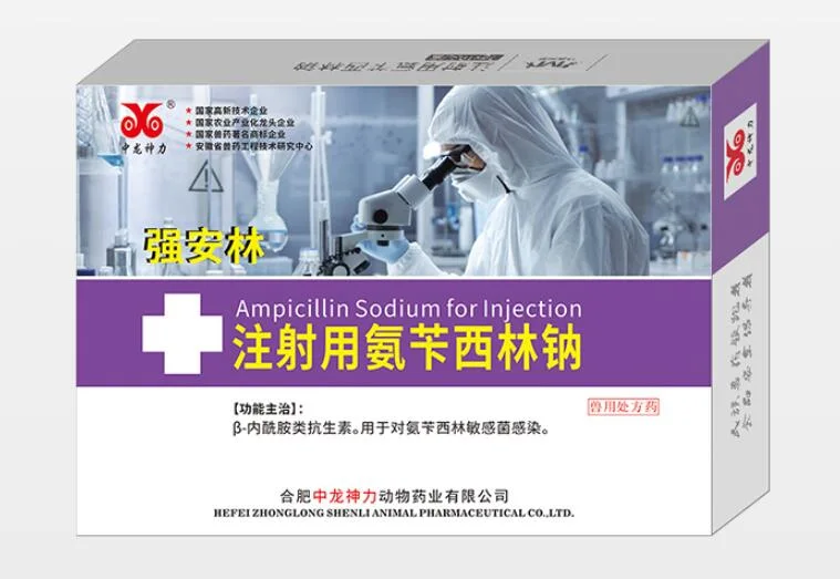 Ampicilline sodique pour injection pour les infections des tissus mous, l'endocardite, la méningite, la septicémie, etc. causées par des bactéries sensibles