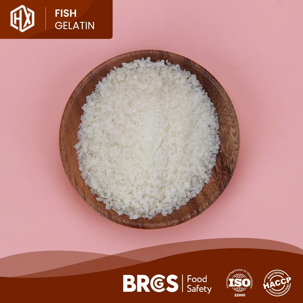 Haoxiang Cheap Price Cod Fish Skin Gelatin China Halal Cod Fish Skin Gelatin Manufacturer Good Processing Performance Edible Cod Fish Skin Gelatin