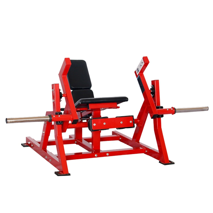 Sports Exercise Gym Fitness Free Weight Back Extension Roman Chair