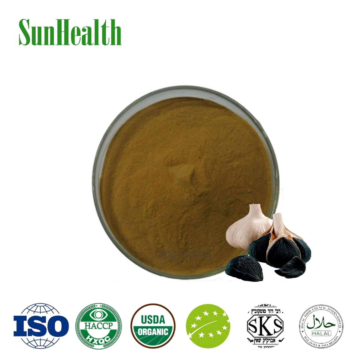 Schwarzer Knoblauch Extrakt/Pulver 10: 1 Polyphenole S-Allylcystein 3%