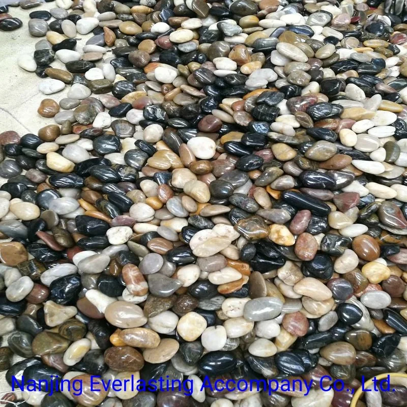 Aquarium Decorative Rocks China Polished Mix Colors River Stone