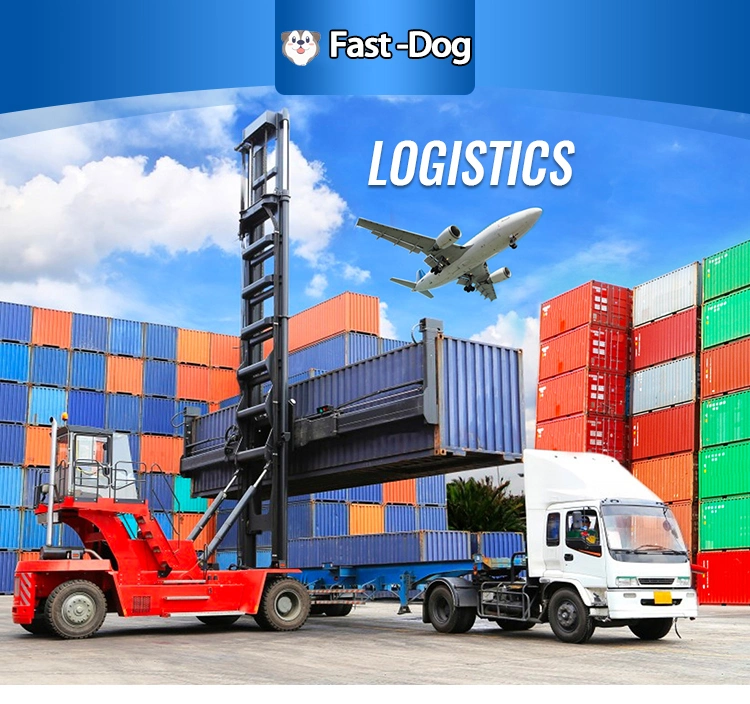 Your Best Shipping Agent in Shenzhen China to The United States United Kingdom Italy Us Belgium Dropshipper Forwarder