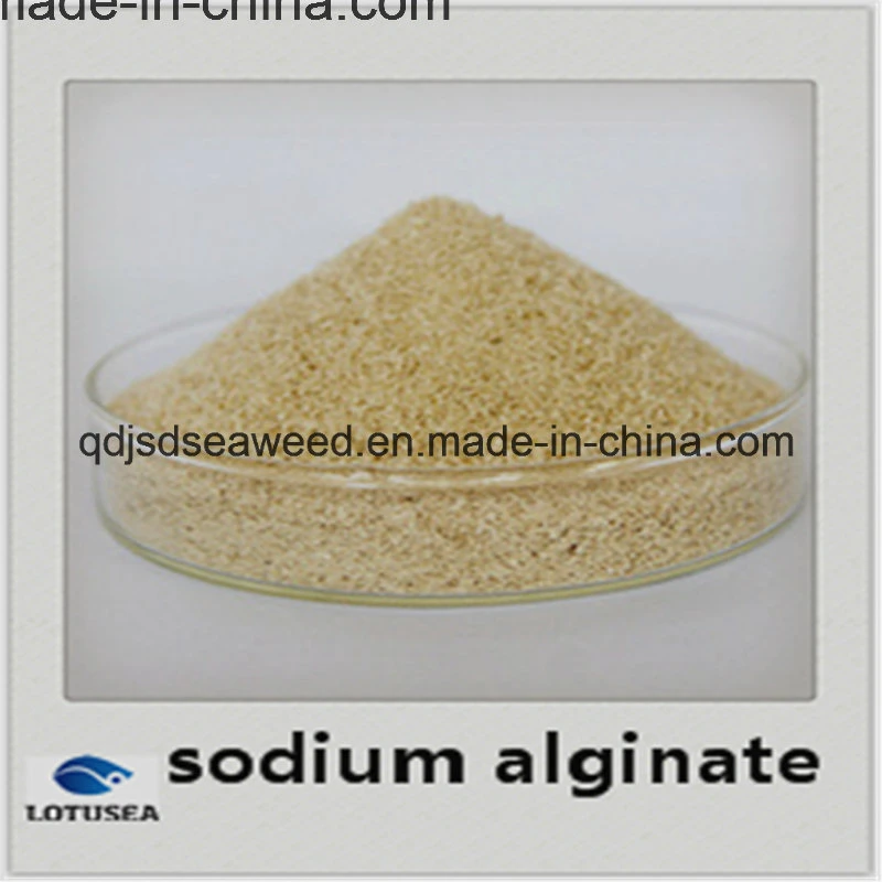 Industrial Sodium Alginate Textilegrade 100 Mesh 10000cps