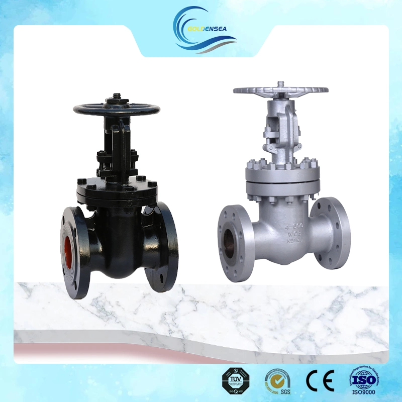 350mm Gate Valve Ductile Iron Carbon Steel DN80 DN150 Water Flange Gate Valve Pn16 Cast Iron Valve for HDPE Pipe Gate Valve