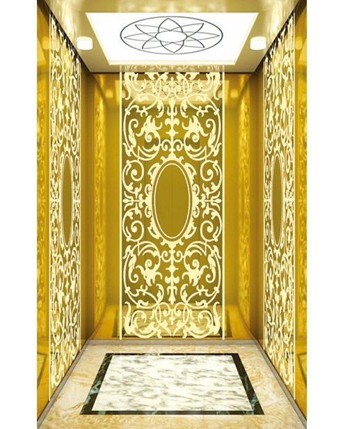 Luxury Decoration 6 Person House Elevator / Lift