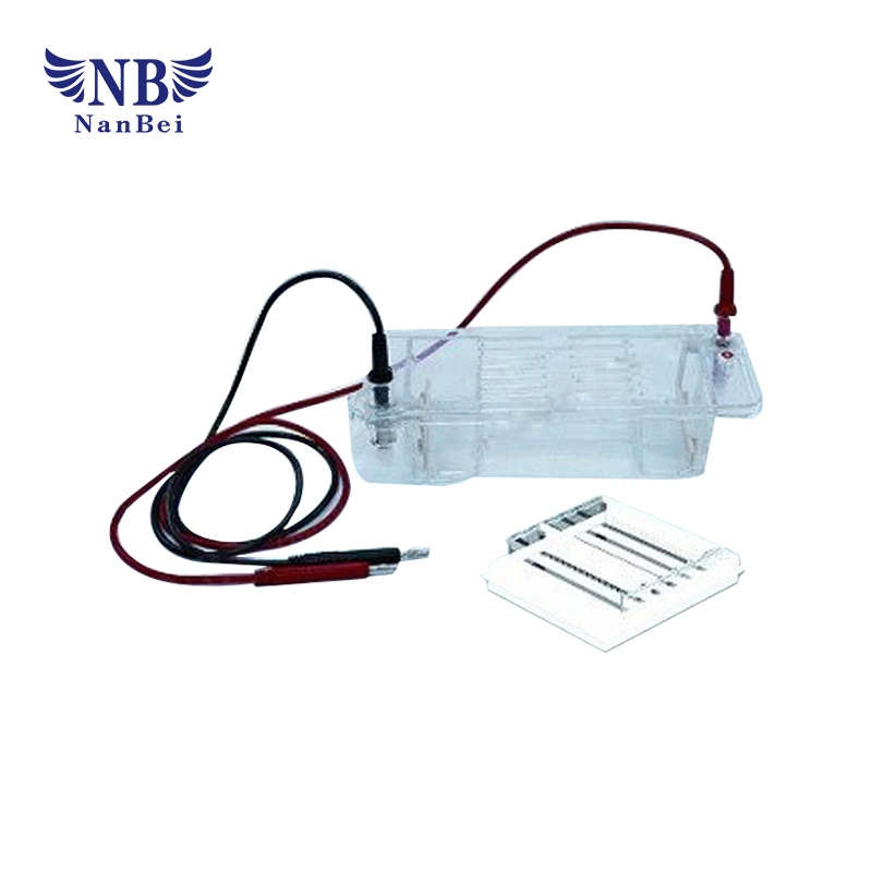 Laboratory Separation Instrument Electrophoresis Equipment