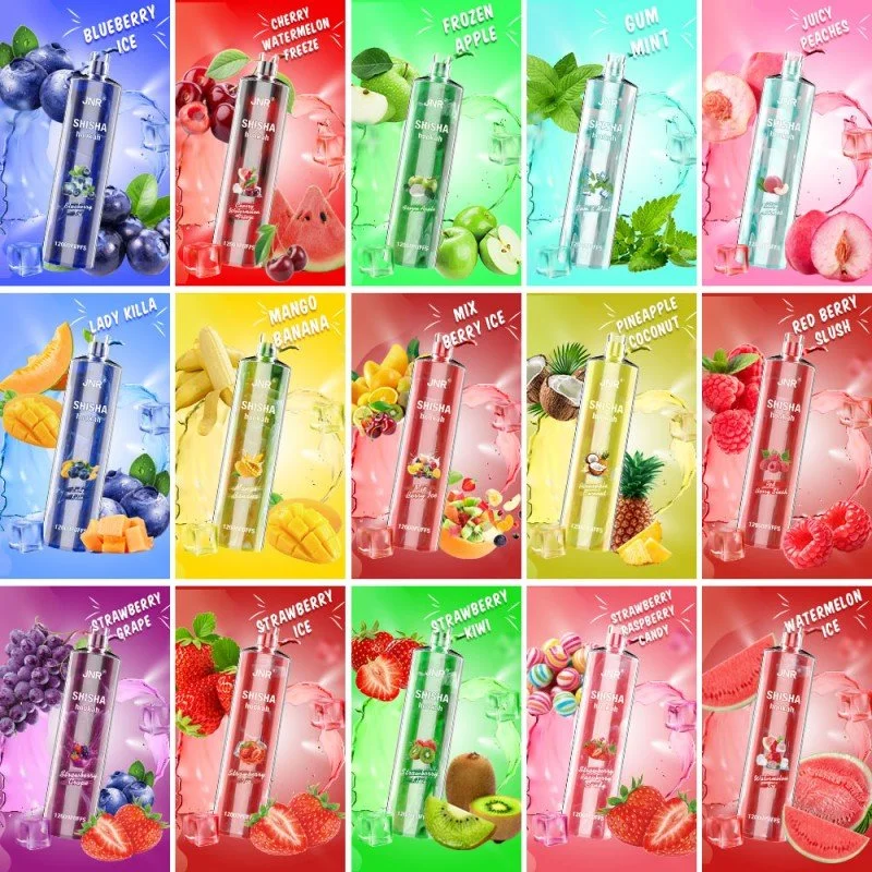 2023 exquis produit E-cigarette Jnr Shisha 8000 Hookah jetable rechargeable VAPE