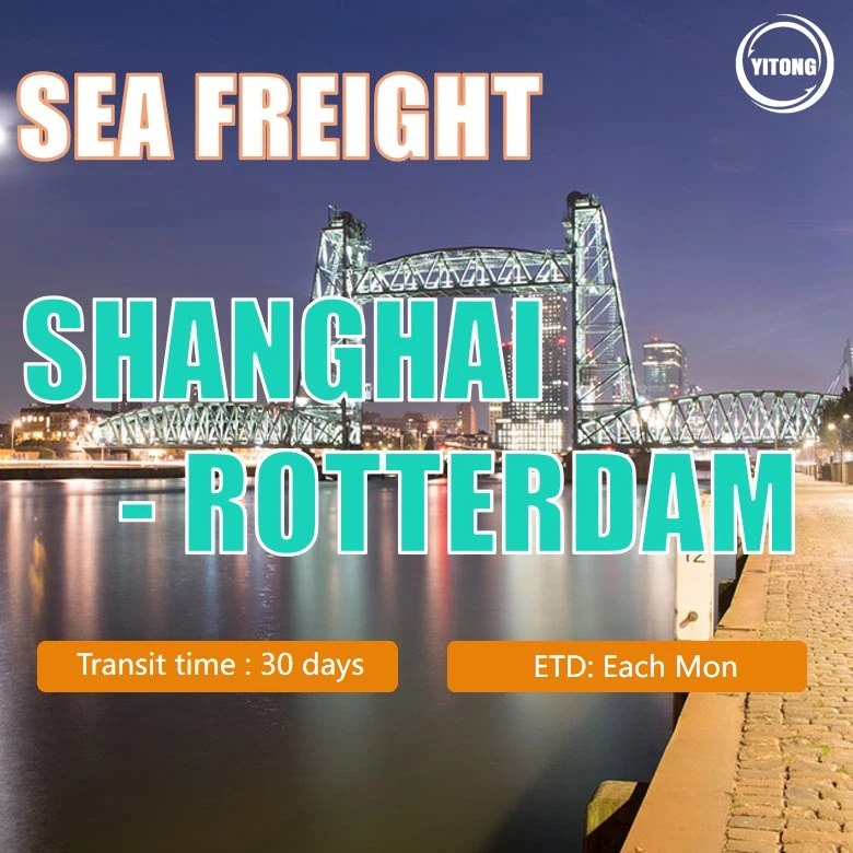 Tarifa de transporte marítimo desde Xiamen a Rotterdam