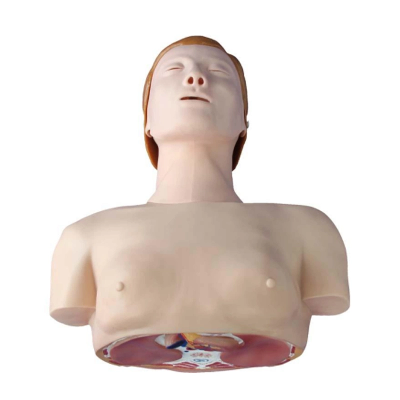 First Aid External Defibrillation & CPR Manikin