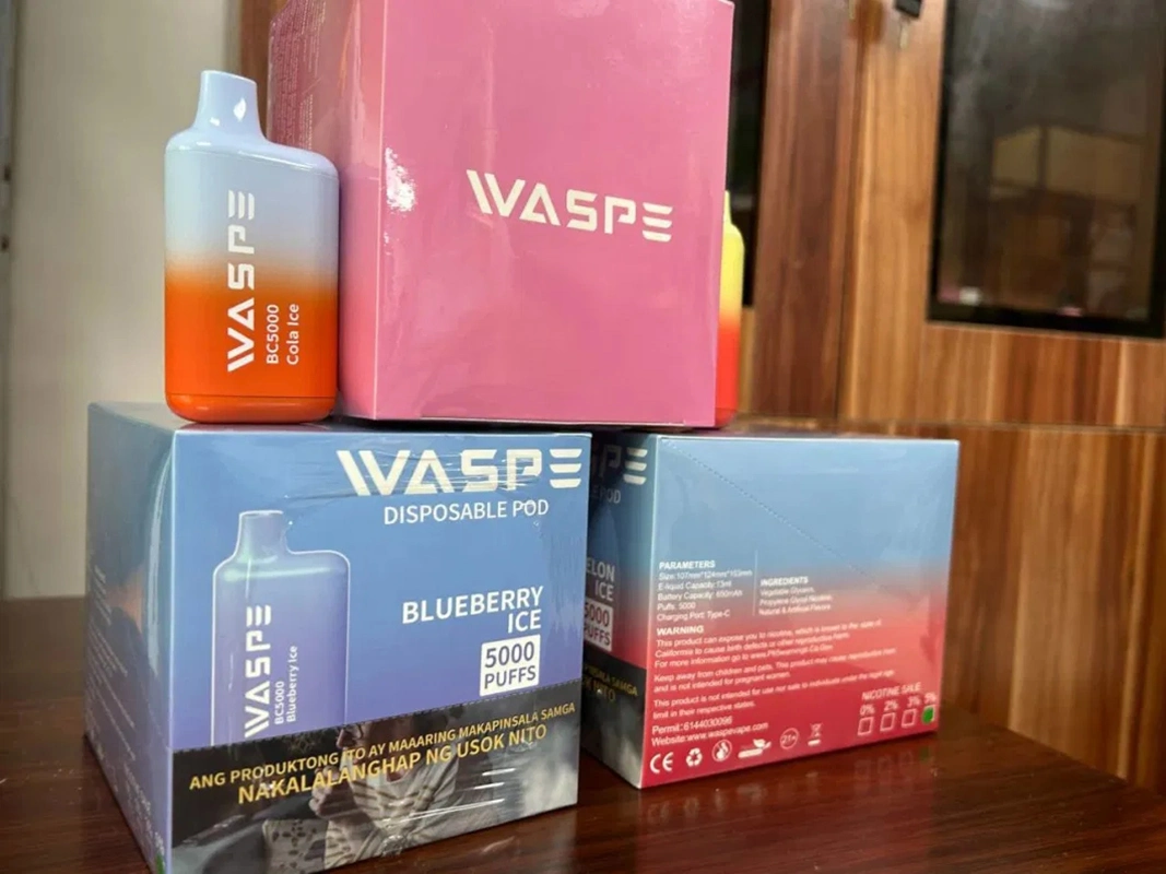 Melhor descartável Pape 5000 puffs preço electrónico do cigarro fumo descartável Vape OEM