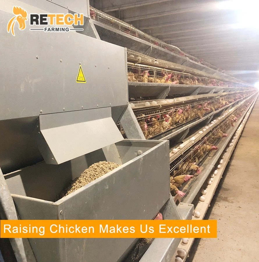 Hot Selling A Type Layer Poultry Cage for egg chicken