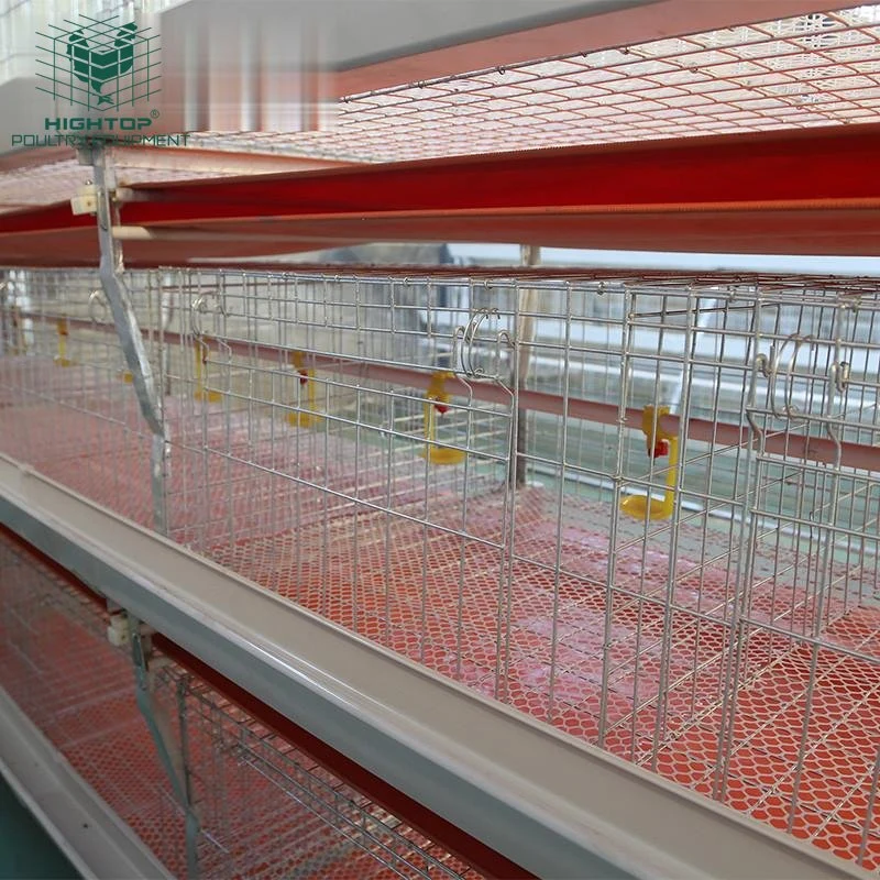 Very Good Quality 3 4 Tiers H Type Hot Galvanized Broiler Chicken Cage For Chicken Farm For Sale