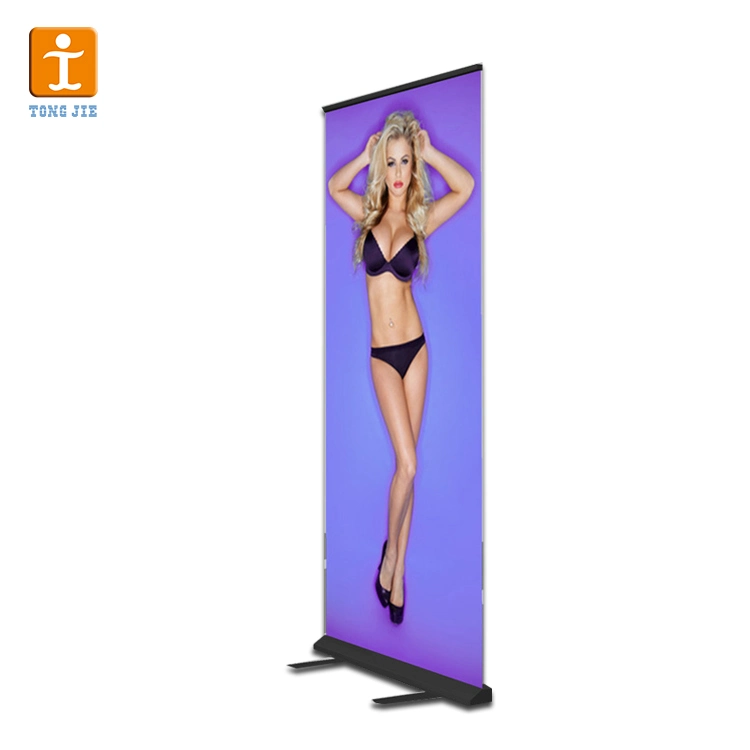 Moving Hot Sale Roll Pull up Stand Banner for Advertising