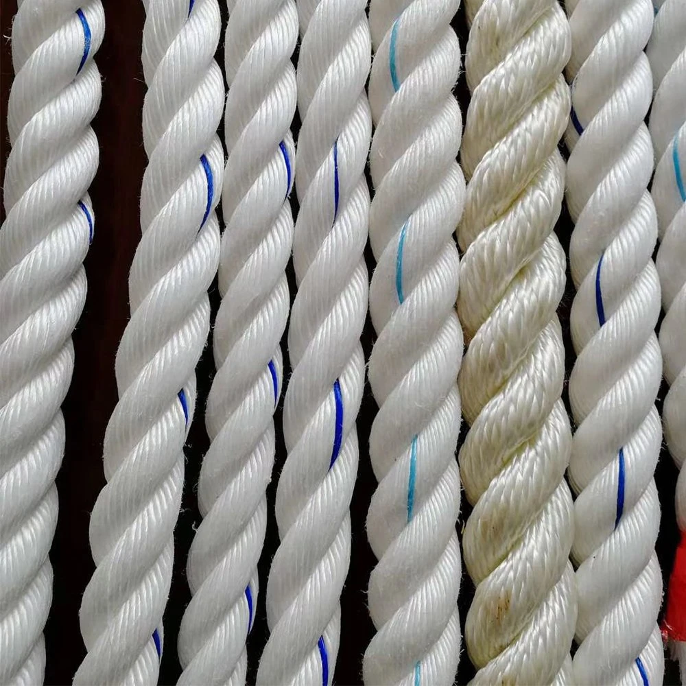 High Strength Any Color Customized Twisted 3/4 Strands Plastic Polypropylene/Polyethylene Danline Rope for Fishing /Mooring/Packing/Marine/Climbing/Agriculture