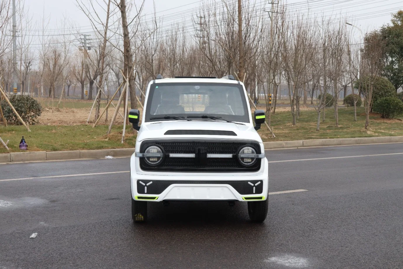 Электрический автомобиль на 4 колеса автомобиля Mini небольших семейных электрический авто автомобилей