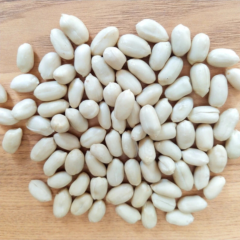 2023crop Blanched Peanut for Food Size 35/39/24/28