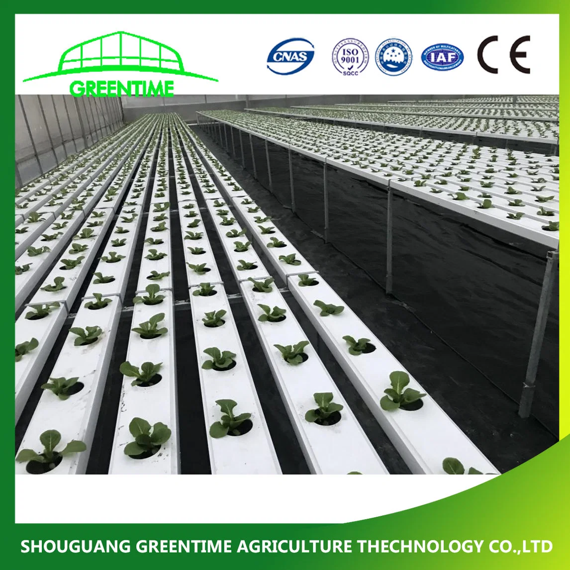 Indoor Hydroponics Systeme Vertikal Growtower Nft Kanal Microgreen Growhen System Hydroponics System