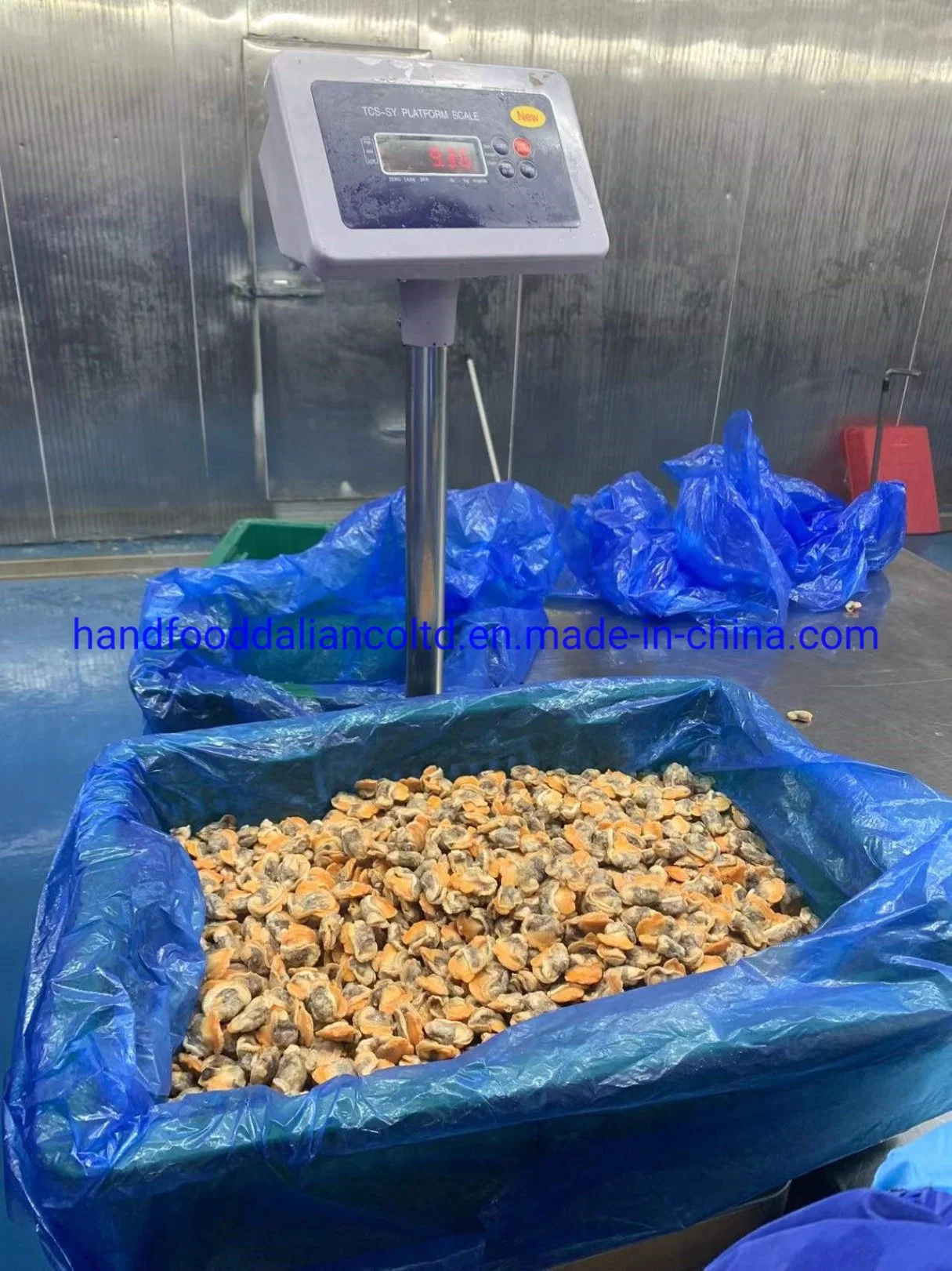 High quality/High cost performance  Seafood of Frozen Cooked Arkshell Clam Meat