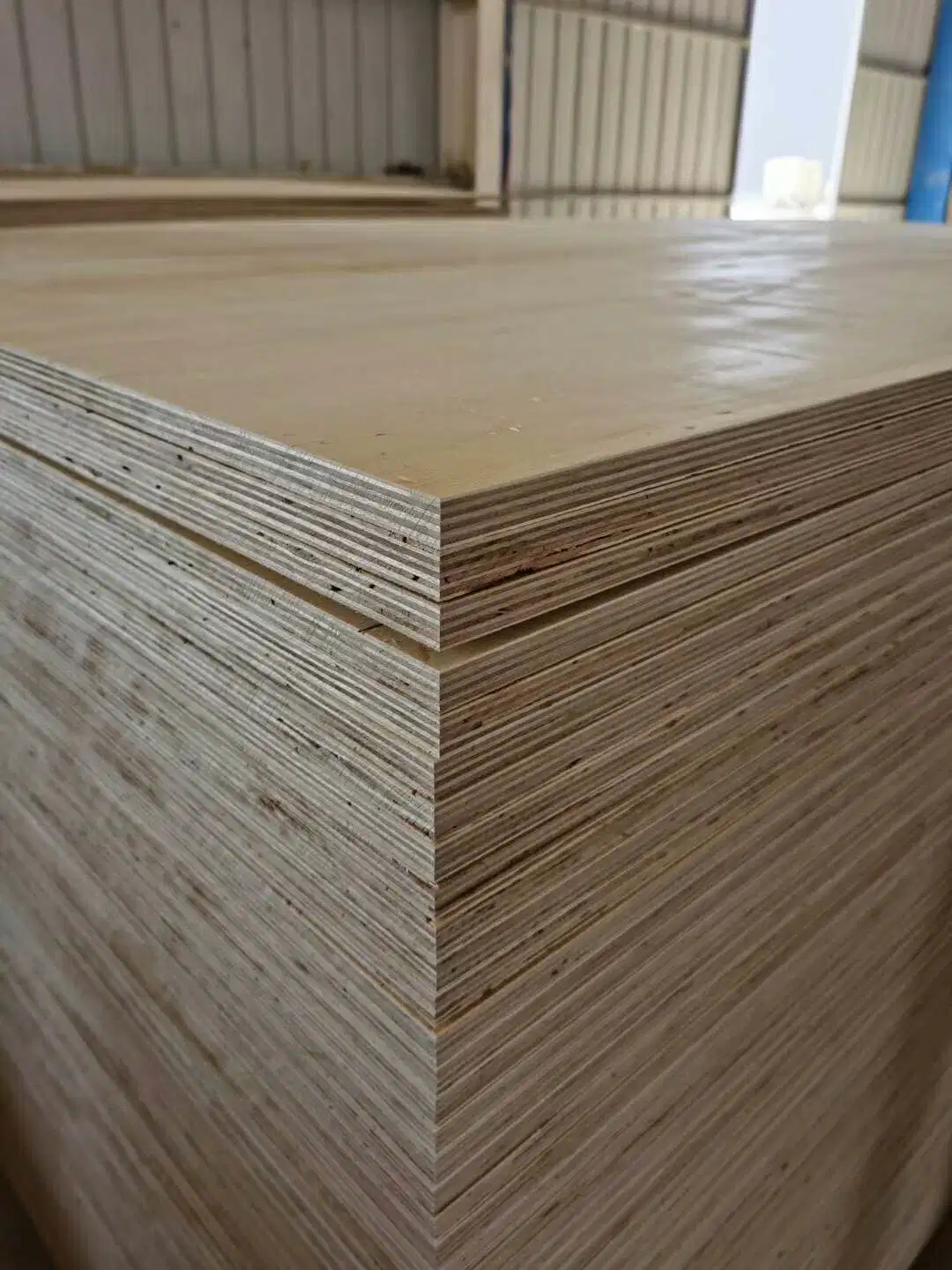 12mm/15mm/16mm/18mm Poplar Core Okoume/Bintangor/Pine/Birch Chapa Contrachapado Comercial para Muebles