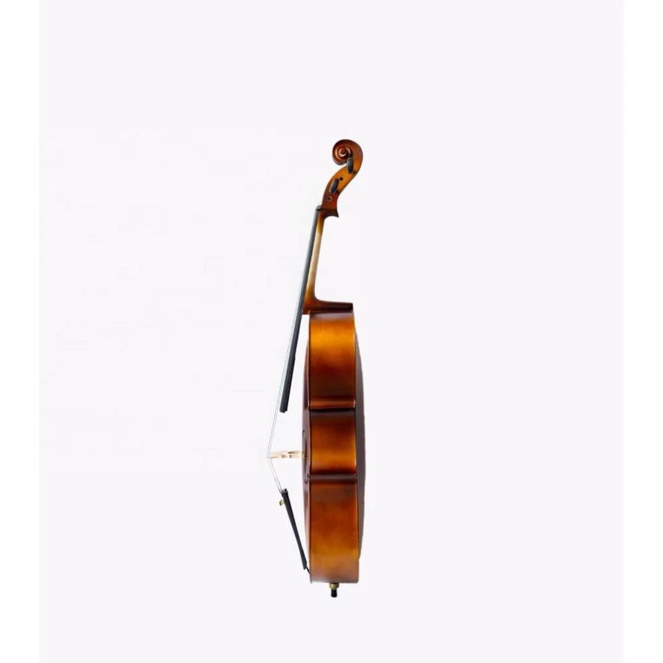 A madeira maciça Violoncelo Chefe Basswood tala de alta qualidade violoncelo em várias cores e modelos completos