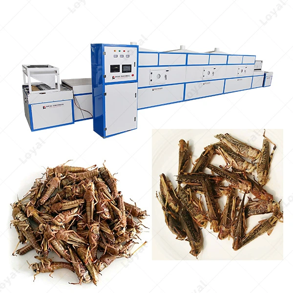 Black Soldier Fly Larvae Cricket Grasshopper Mealworm Insect Microwave Drying Sterilization Machine