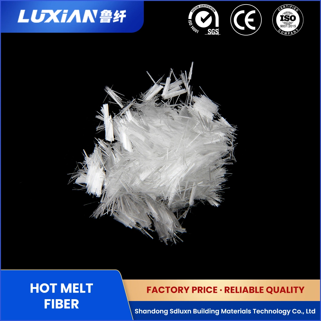 Sdluxn Polyester Microshort Fiber Synthetic Resin Lx Dr-100 12mm Polypropylene PP Fiber China Anti-Explosion Polypropylene Fiber for Construction Manufacturers