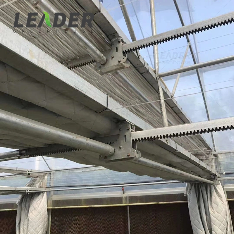 Cheap Agricultural Greenhouse Ventilation Accessories Rack and Pinion System