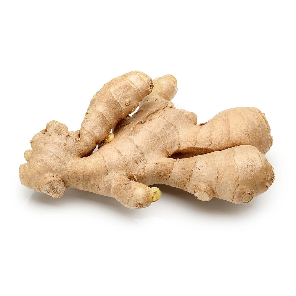 2023 Crop China Shangdong Younger Ginger Fresh Ginger Wholesale/Supplier