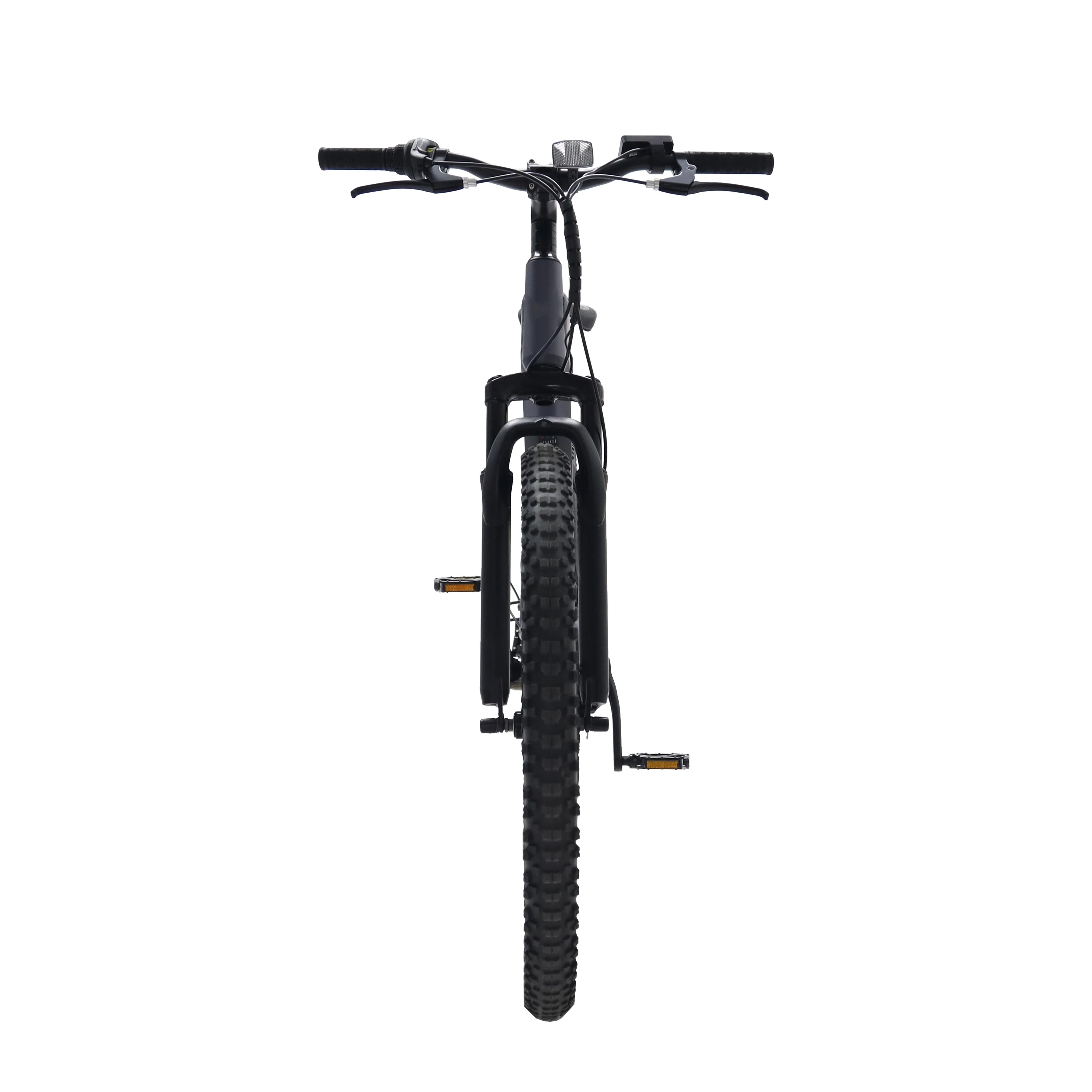 2022 Most Popular Wholesale/Supplier Cheap Fat Tire Dirt Lithium Battery 7 Speed Trunk LCD Display Dirt Bike MID Drive Motor Electric Bicycle