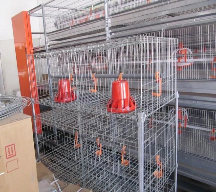 2023 Hot Sale Automatic Poultry Farming Equipment Chicken Layer Battery Cage