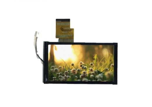 Ronen 6.2-Inch Color TFT LCD Display with Touch Panel 800X480 60pin Connector