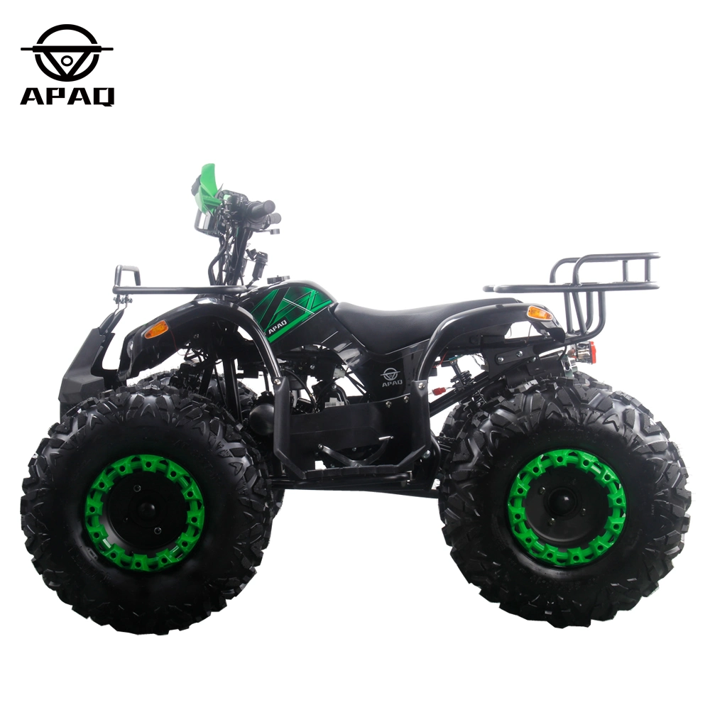 Apq125-5 with CE 125cc Powerful Gasoline ATV Electric Start Quads