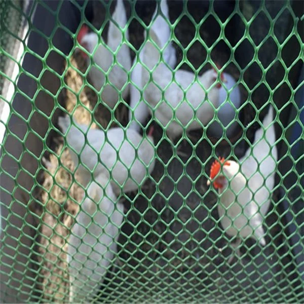 Manufacture Plain Weave Chicken Mesh / Farm Breeding Plastic Flat Net