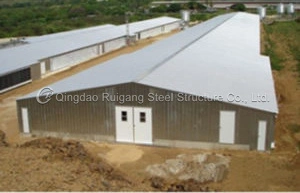 Acero galvanizado y pintado en el marco de metal PU/Rockwool/panel sándwich de espuma EPS de estructura de acero granja avícola galpón Gallinero para parrilla/criador/huevo/Gallinas ponedoras