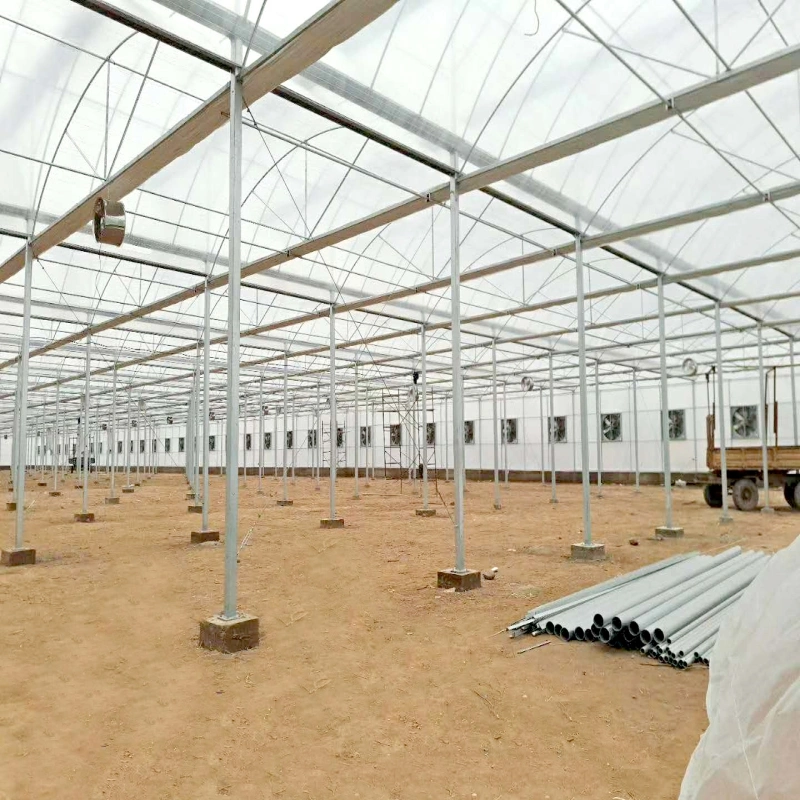 Arch Tunnel de délestage de plastique ferme Poly Multi-span agro économique serre de l'Agriculture