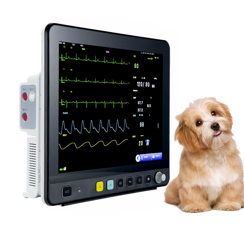 Vet Equipment Portable Multi-Parameters Veterinary Monitor for Pet Hospital and Pet Clinic