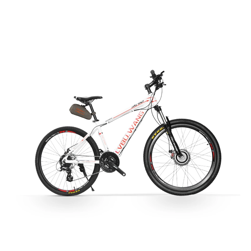 36V 500W Ebike Kit Lithium Battery Ebike Electric Bike Conversion Kit Front Rear Hub Motor Wheel