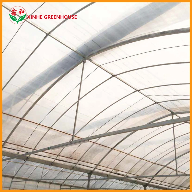 Automatic Shading System Film Multi-Span Hydroponic Greenhouse