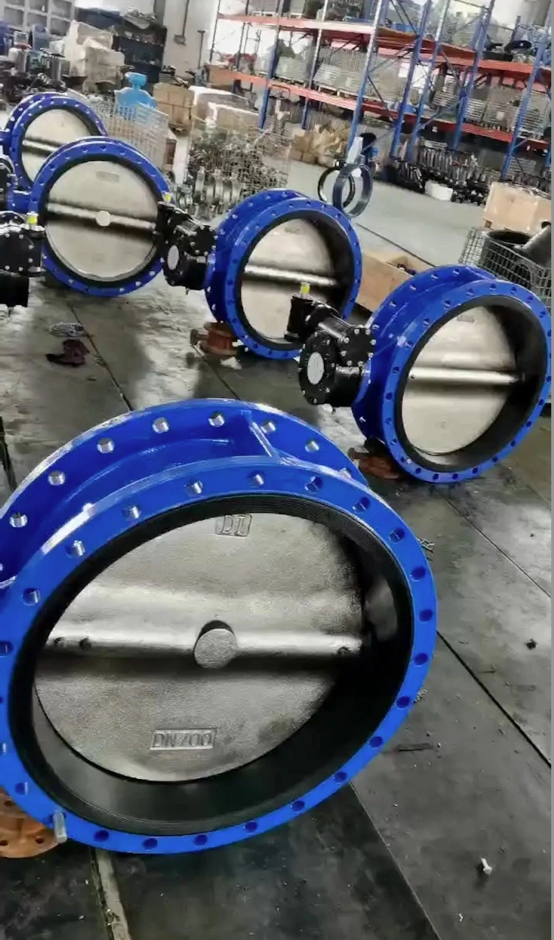 Double Flanged ANSI/GOST Butterfly Valve, Stainless Steel/Wcb/Cast Iron