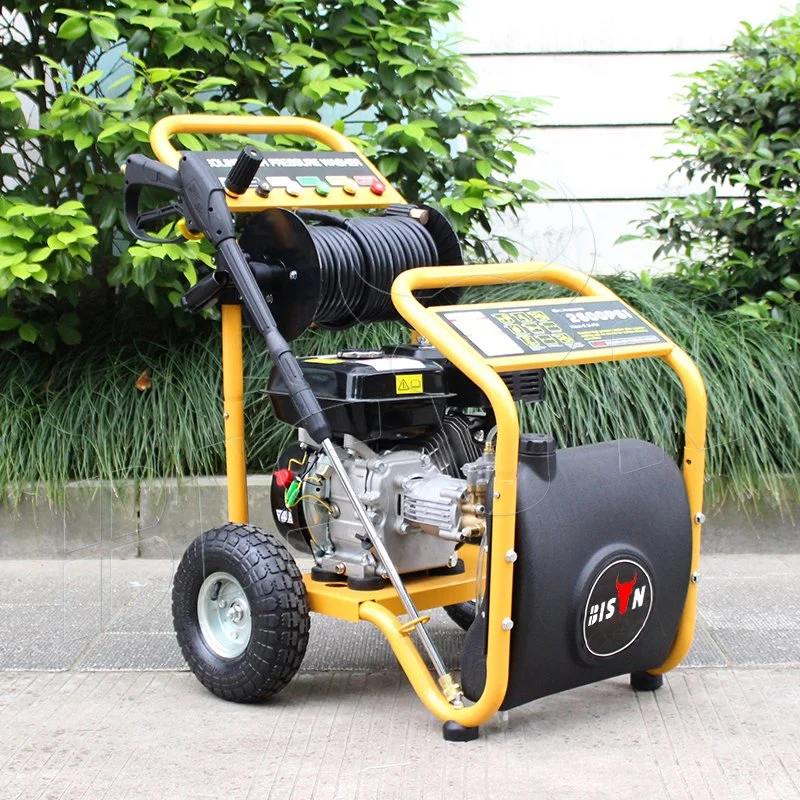 Bison 170 Bar Portable 220V Household Gasoline High Pressure Washer