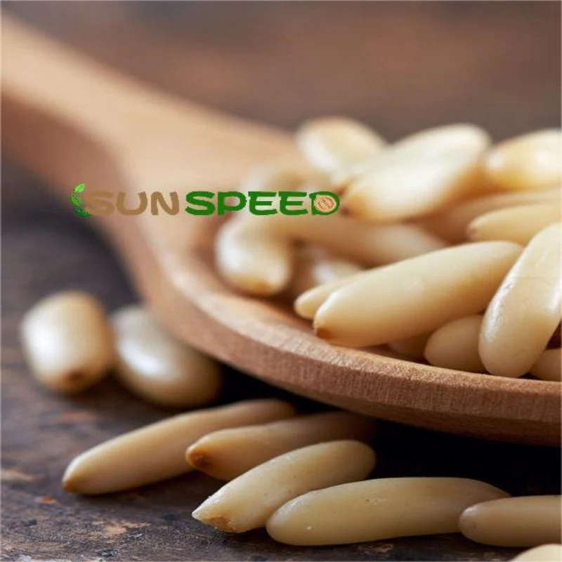 500 G 1 Kg 2 Kg OEM Healthy Raw Nuts Pine Nut Kernel 1500 Pieces