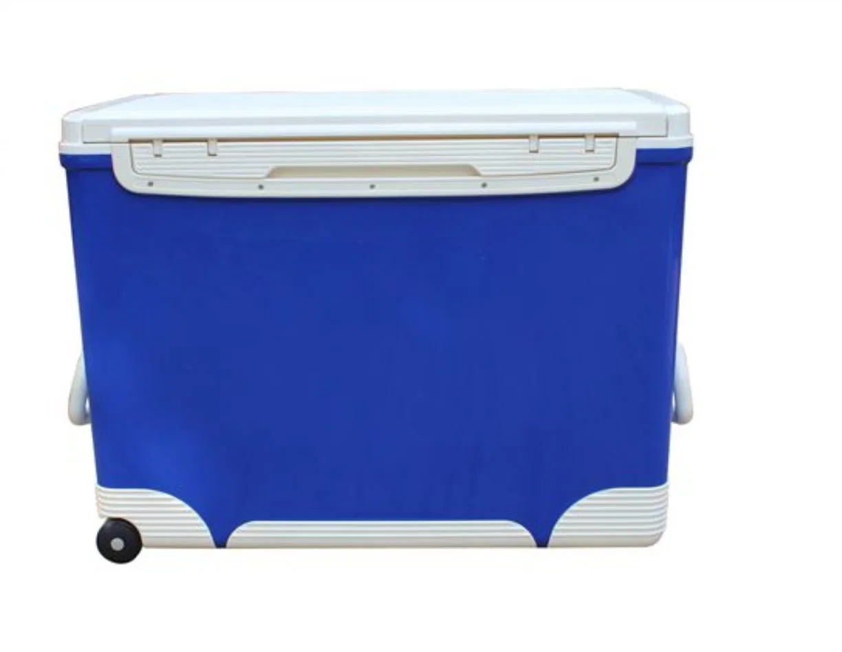 75L Large-Capacity Medical Refrigerated Transfer Box / Specimen Transfer Box / Vaccination Refrigerated Incubator / Long-Term Temperature Control / Can Be Equip