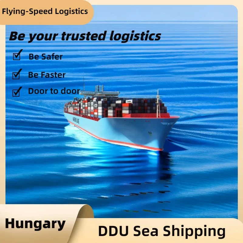 DDU Frete expedição Agente carga marítima para Hungria Frete Transportador