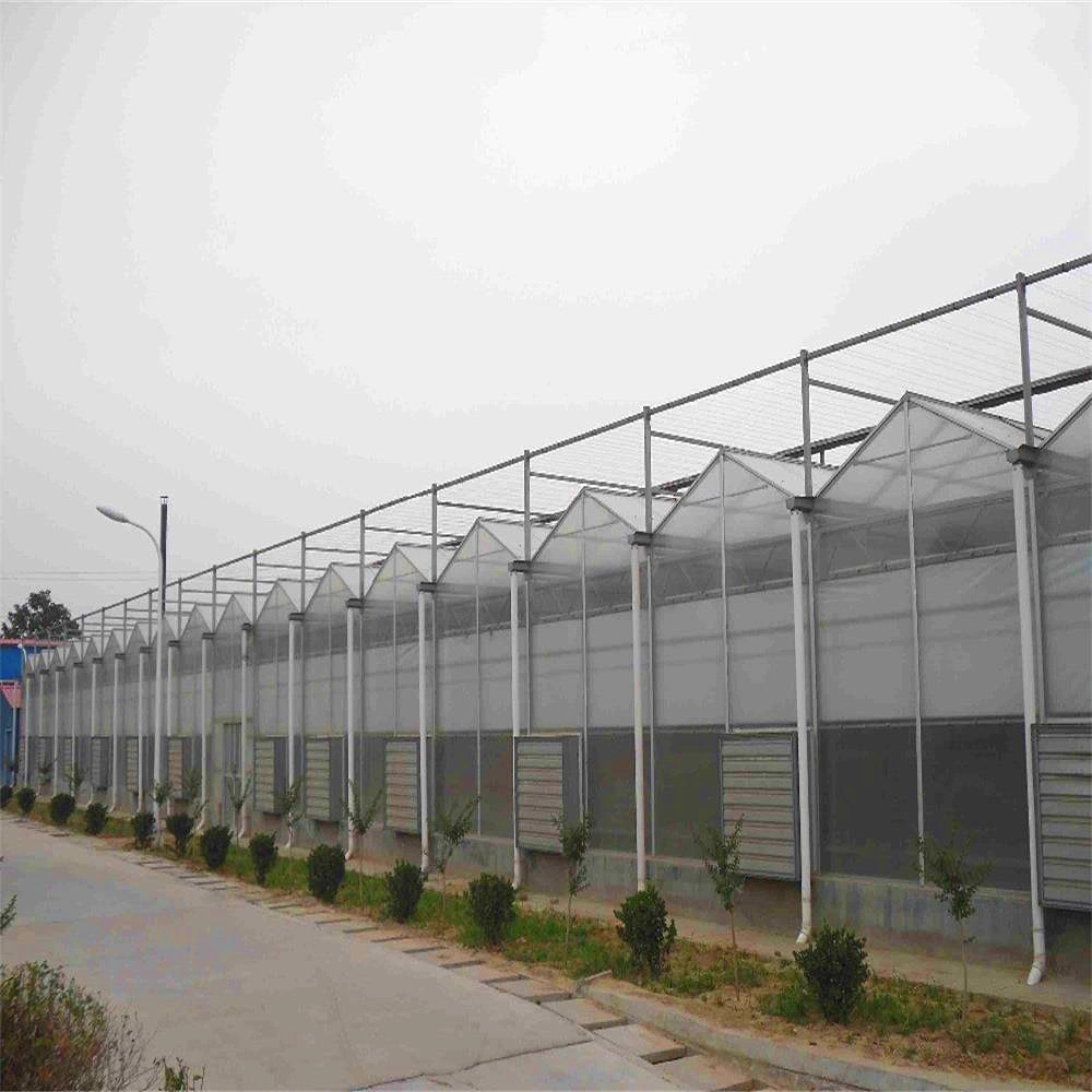 Multi-Span Agriculture Polycarbonate Greenhouses Venlo Type PC Sheet Green House for Tomato/Cucumber/Strawberry/Fruits/Vegetables/Lettuce/Pepper/Salad/Eggplants