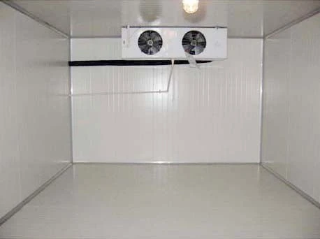 Frozen Meat Seafood Beef Chicken Vegetable Fruit Walk in Container Cool Freezing Freezer Cold Room